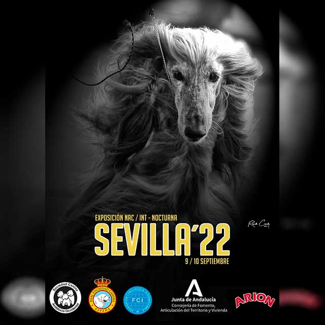 Exposición canina 2022 en el Parque del Alamillo de Sevilla