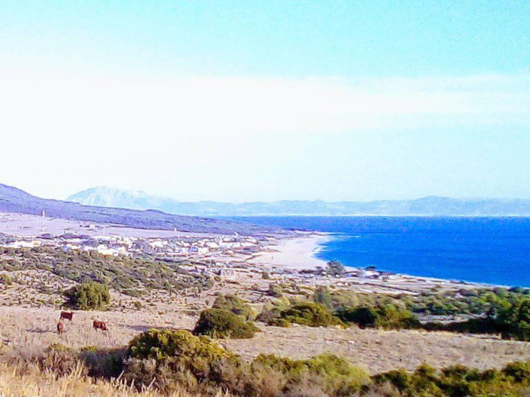 La Era de Bolonia 768x576