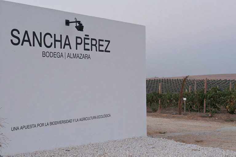 sancha perez 768x511