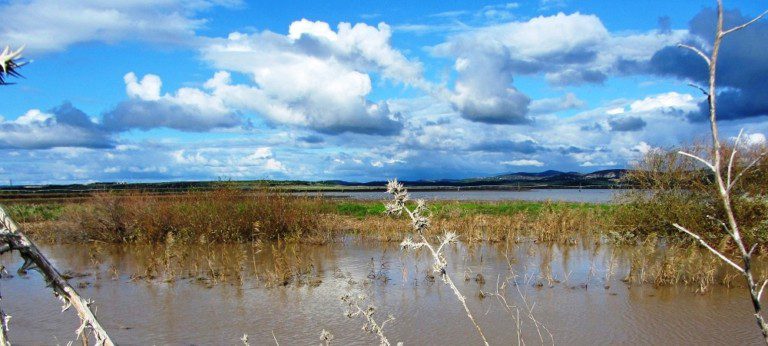 Laguna de la Janda 768x346
