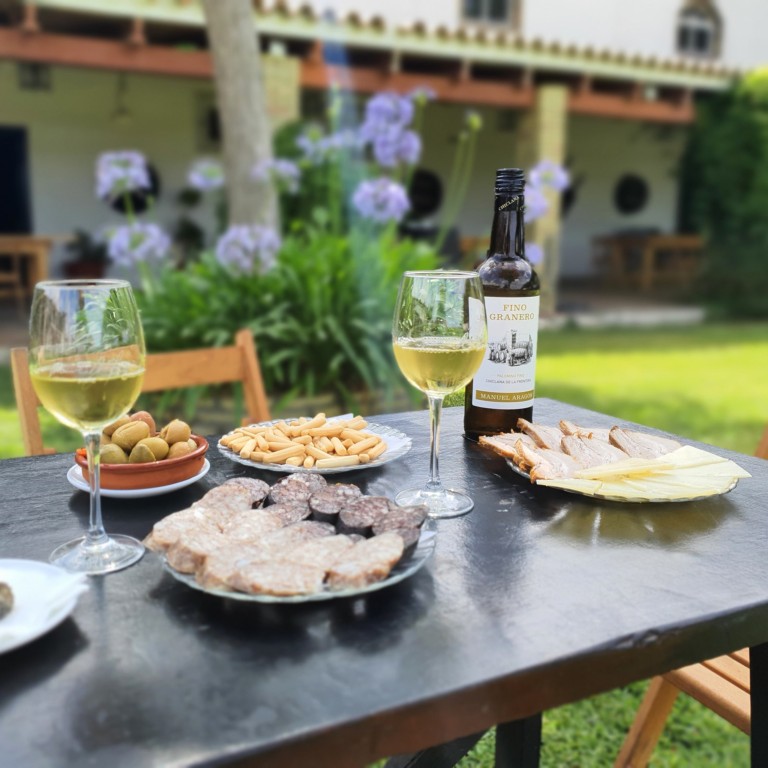bodegas manuel aragon 4 768x768