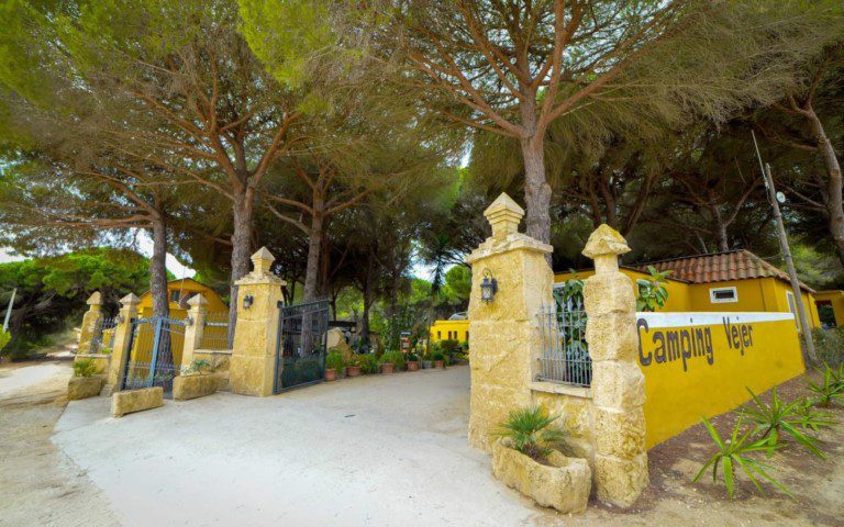 camping vejer 768x480