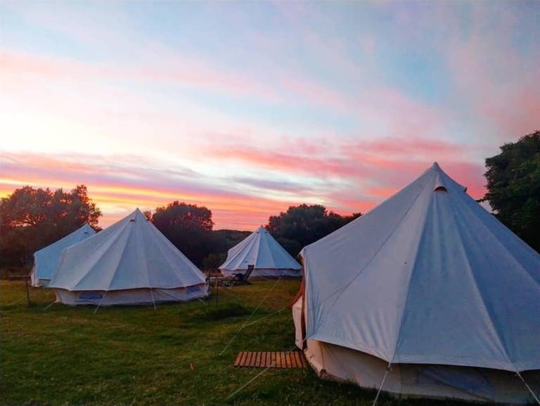 finca la jara 2 768x577