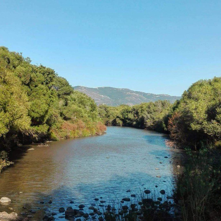 finca la jara 5 768x768