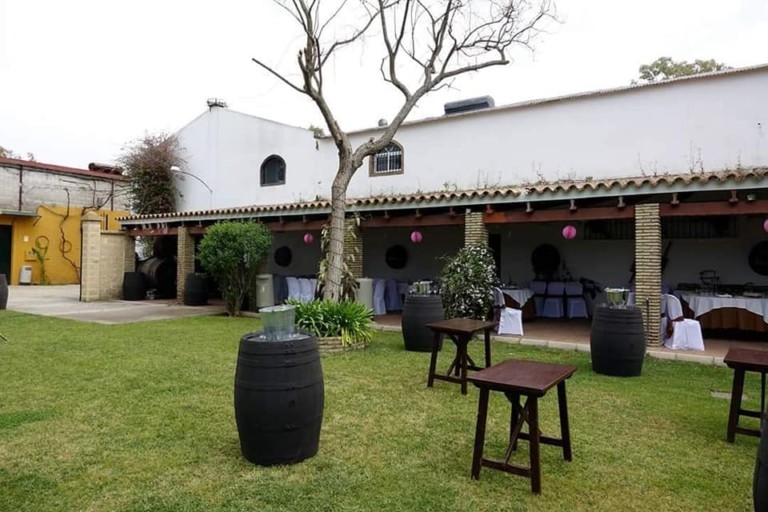 salinas de chiclana 4 768x512