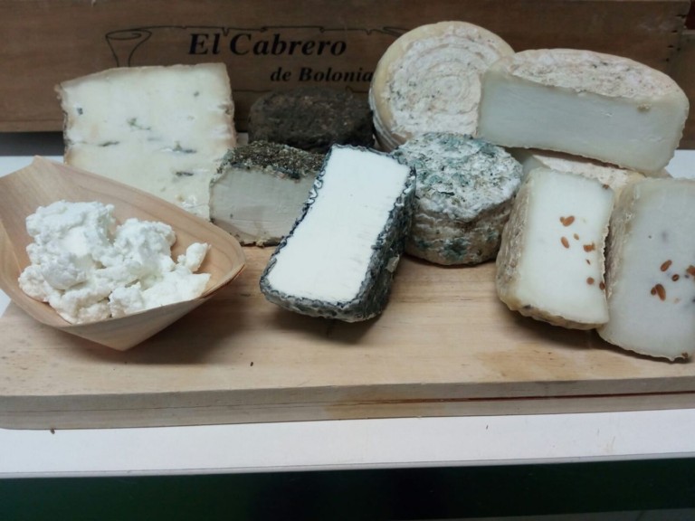 el cabrero de bolonia 2 768x576