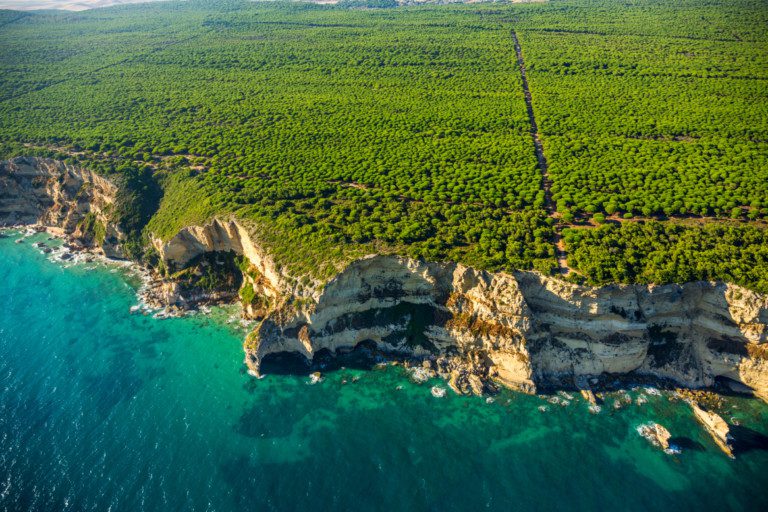 parque natural de la brena y marismas del barbate 1 768x512