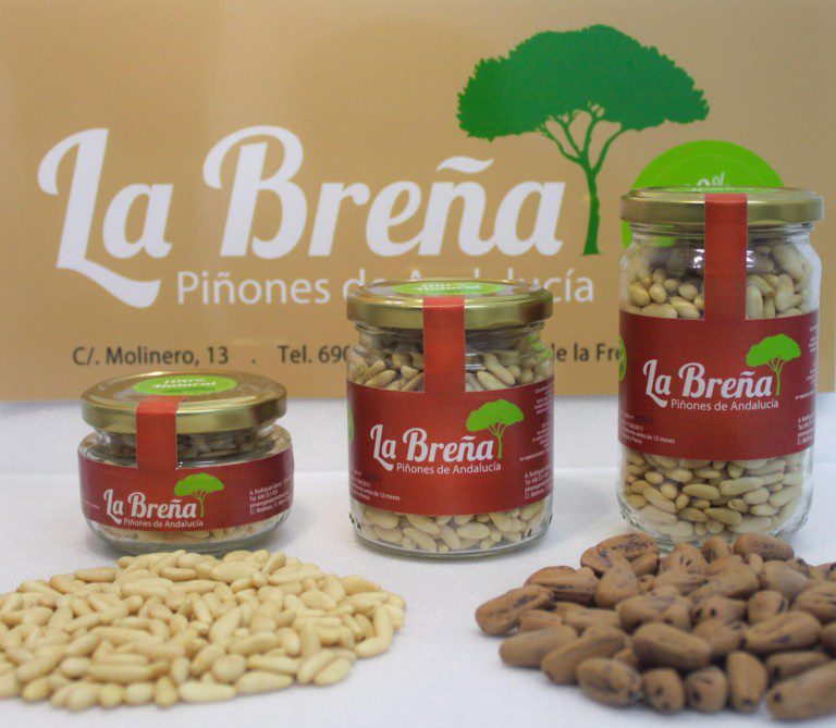 pinones la brena 768x669