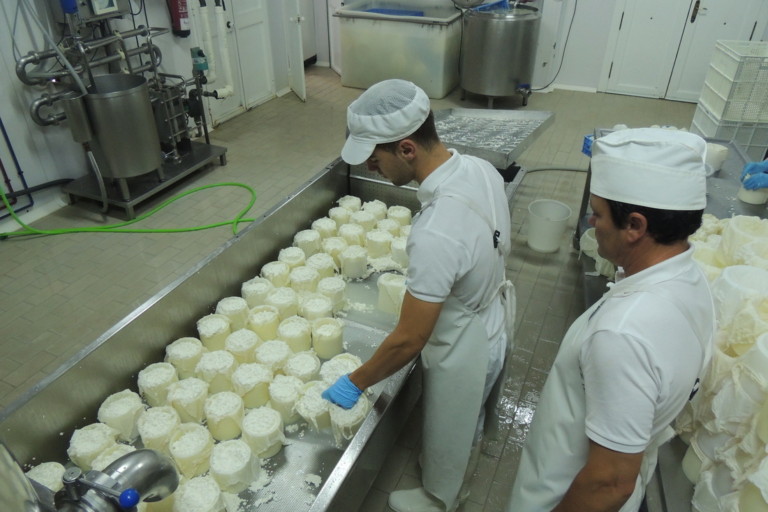 queseria el gazul 2 768x512