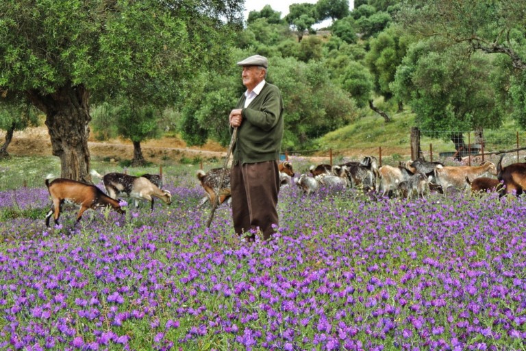 queseria el gazul 4 768x512