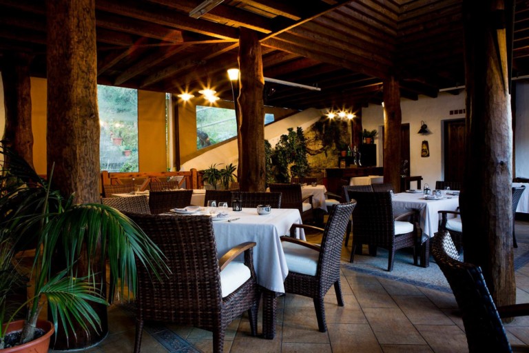 venta pinto 4 768x512