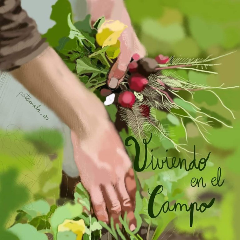 viviendo en el campo 1 768x768