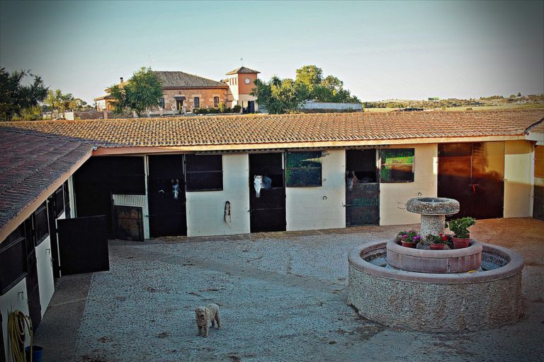 Centro Hipico La Torrecilla 768x512