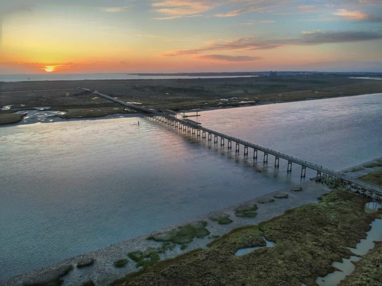 Parque Natural de los Torunos y la Algaida 2 768x576