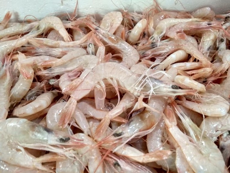 Pescaderia El Pozito 2 768x576