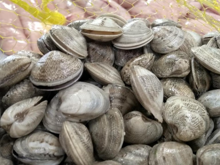 Pescaderia El Pozito 4 768x576