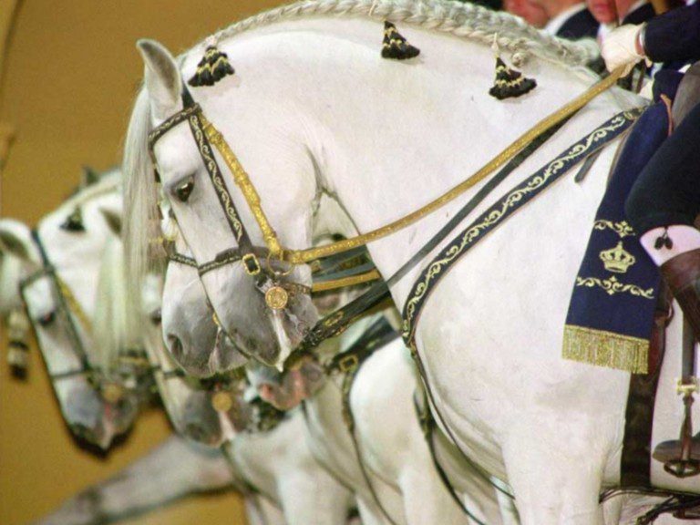 Real Escuela del Arte Ecuestre 2 768x576