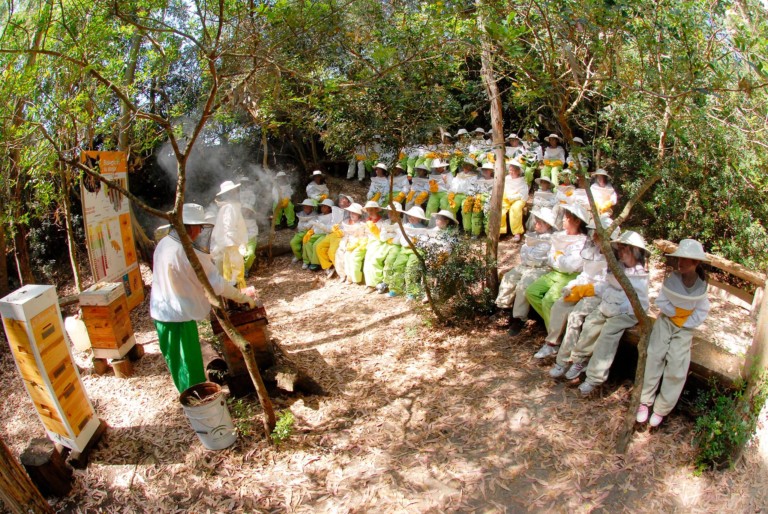 rancho cortesano 768x514