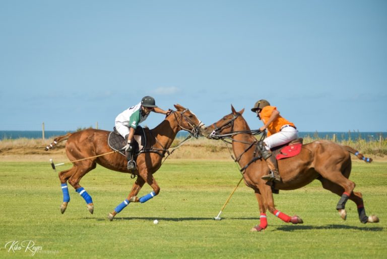 trafalgar polo club 2 768x513