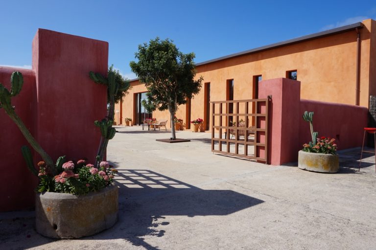 trafalgar polo club 3 768x511