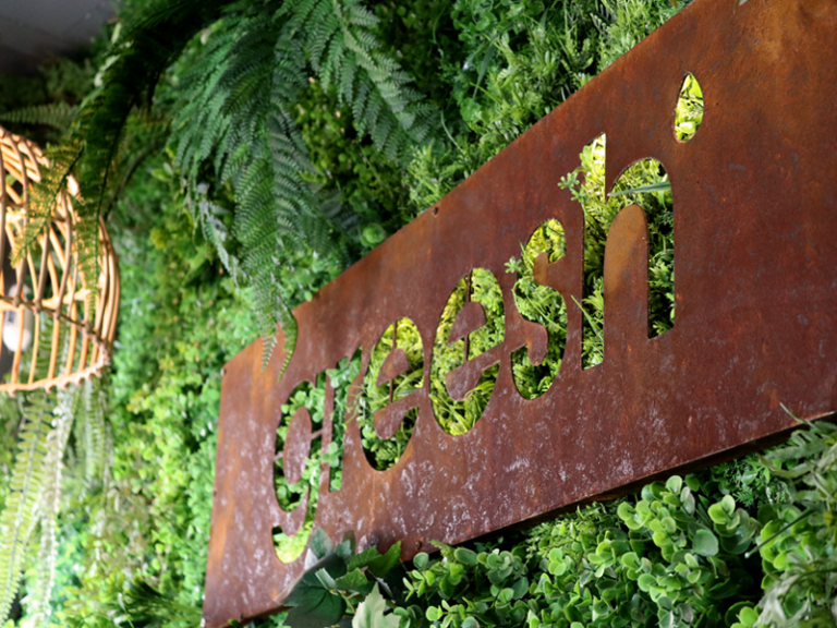 Greesh san fernando 768x576