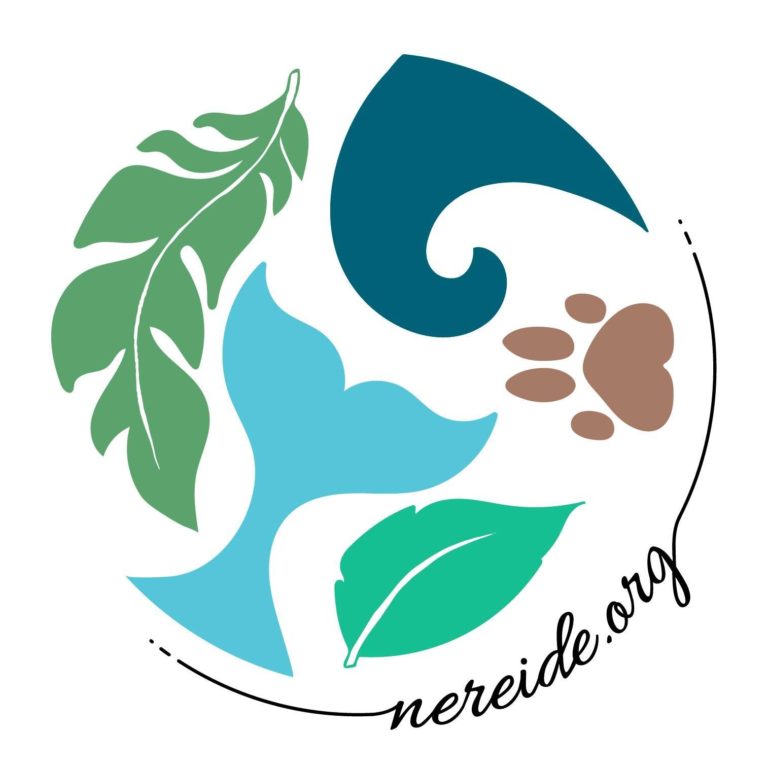 Asociacion Nereide Tarifa logo 768x768