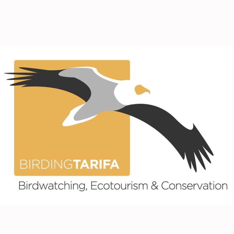 Birding Tarifa logo 768x768