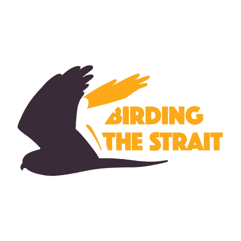 Birding The Strait logo 768x768