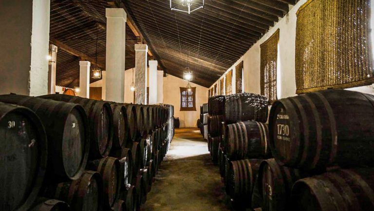 Bodegas Alvaro Domecq Jerez de la Frontera 768x434
