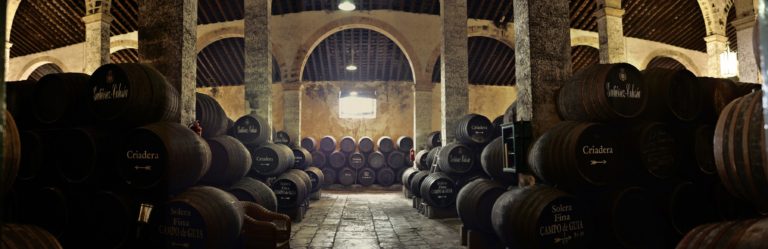 Bodegas Gutierrez Colosia 2 768x249