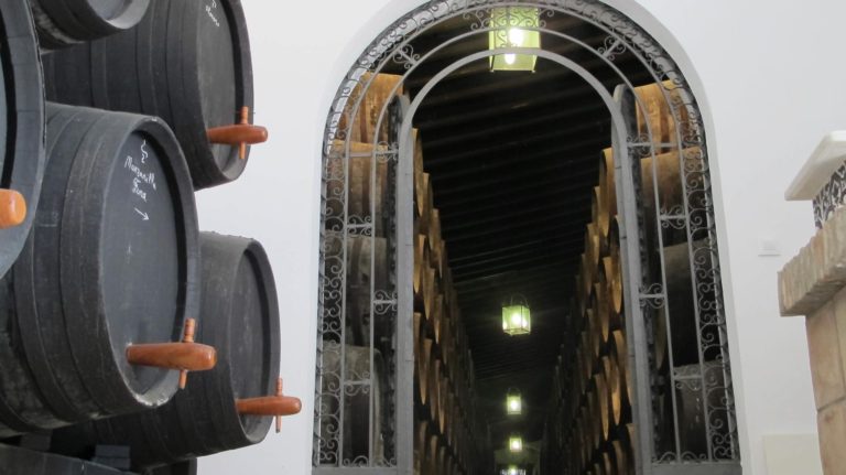 Bodegas Juan Pinero 2 768x431