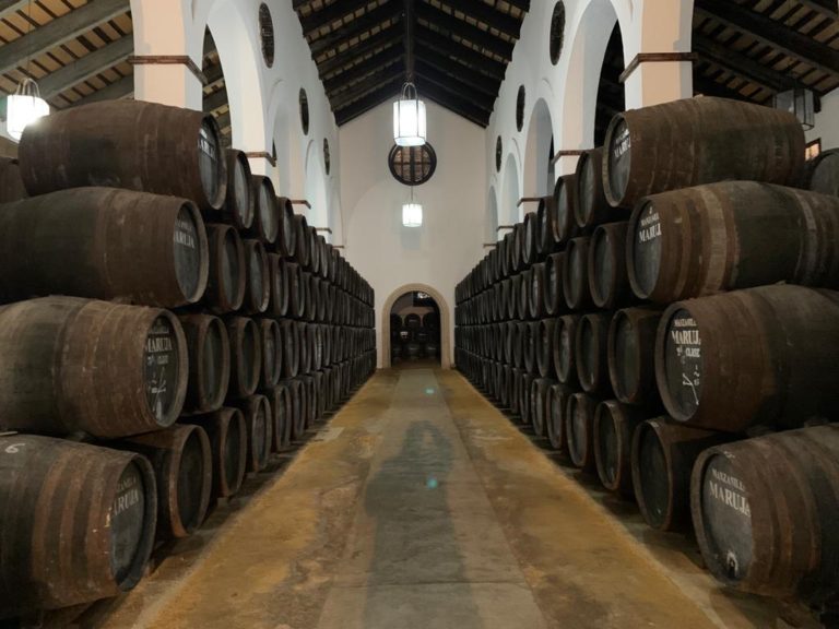 Bodegas Juan Pinero 768x576