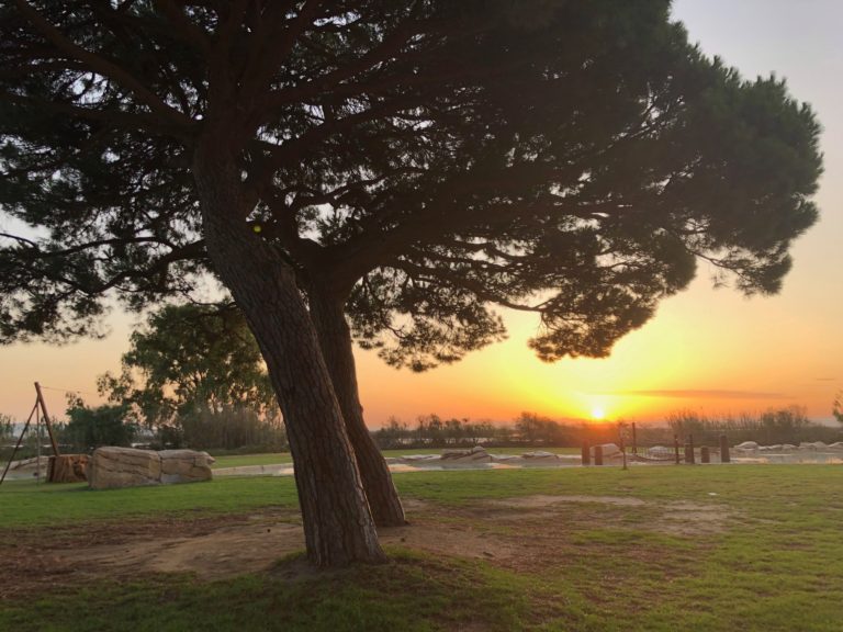 CEAAN Coto de la Isleta El Puerto de Santa Maria 768x576
