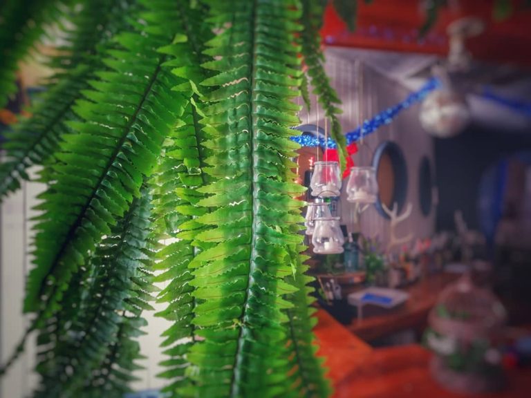 El Fondeo Puerto Sherry 768x576