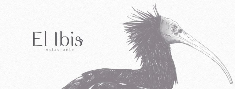 El Ibis restaurante Vejer Logo 1 768x290