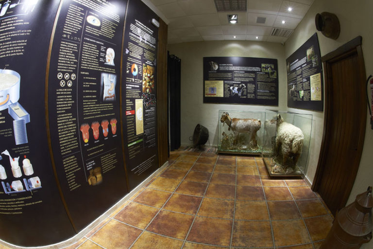Museo y tienda de queso El Bosqueno 3 768x512
