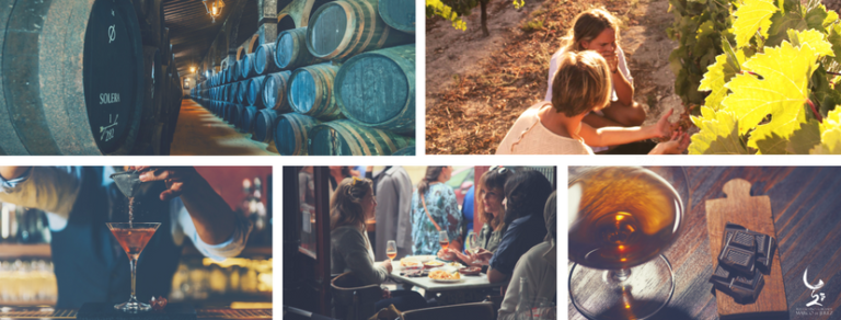 Ruta del Vino y el Brandy del Marco de Jerez 2 768x292