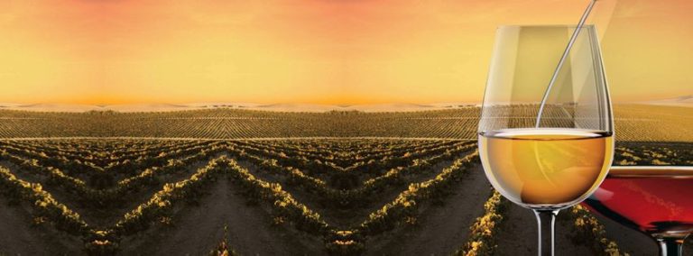 Ruta del Vino y el Brandy del Marco de Jerez 3 768x284