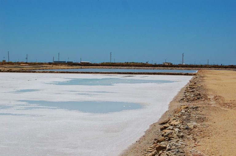 Salina el Estanquillo 768x509