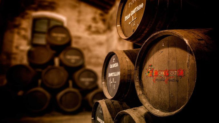 Bodegas Cayetano del Pino 768x432
