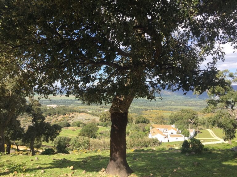 Cortijo las Cabrerizas 768x576