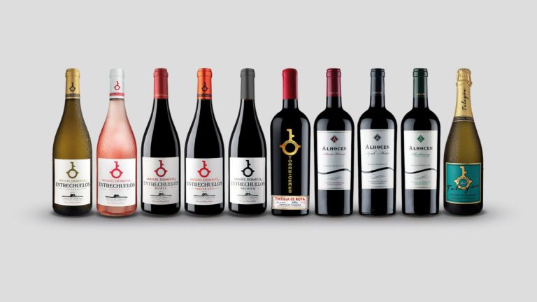 Bodega Miguel Domecq 768x432