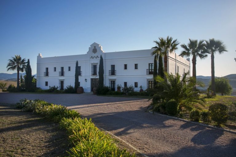 Bodegas Tesalia 768x512