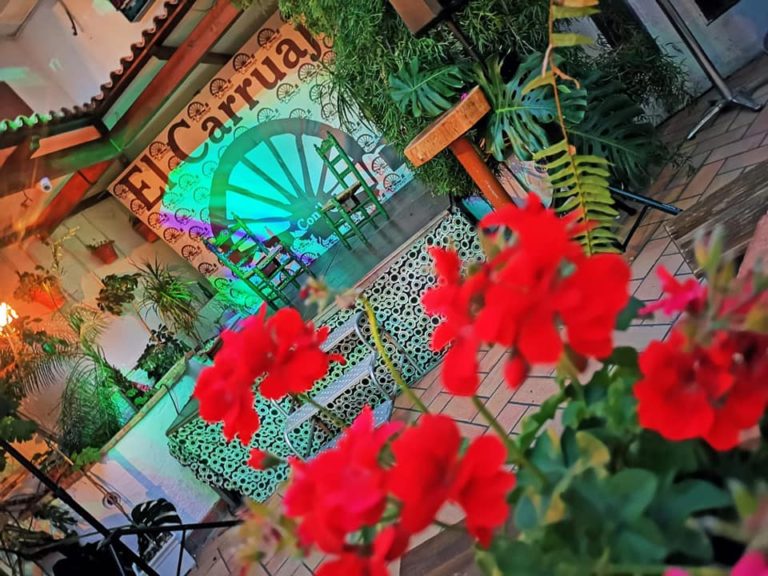 El carruaje Conil de la frontera 2 768x576