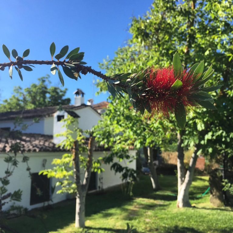 Finca Vegana Zahara de la Sierra 768x768