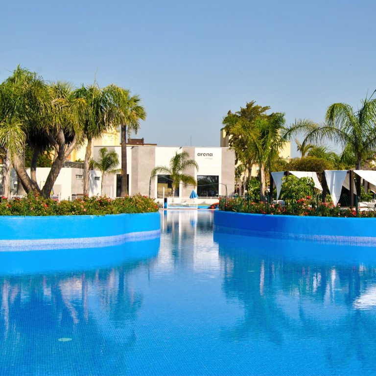 Arena Village erez 768x768