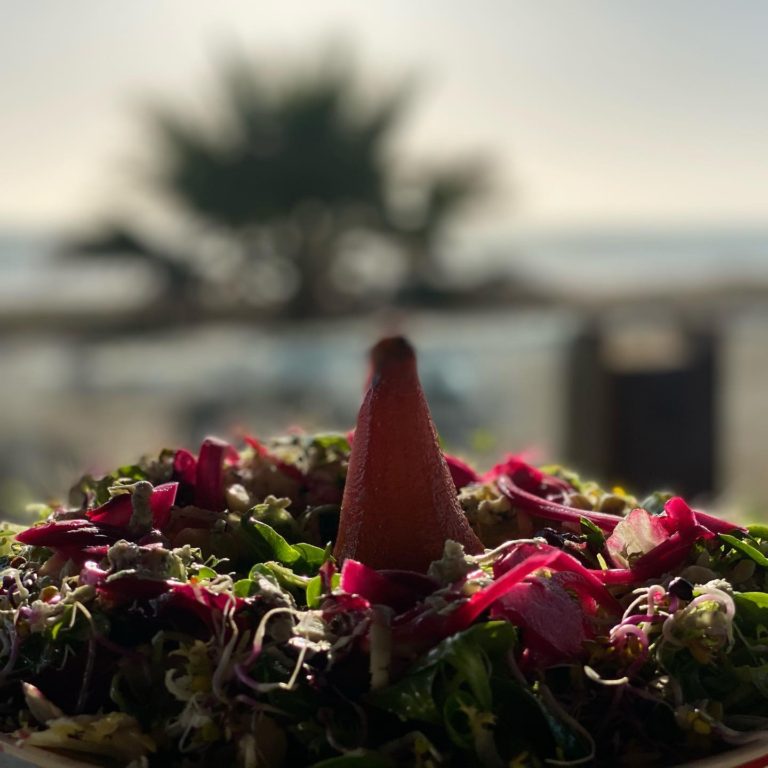 El Arenal El Palmar 4 768x768