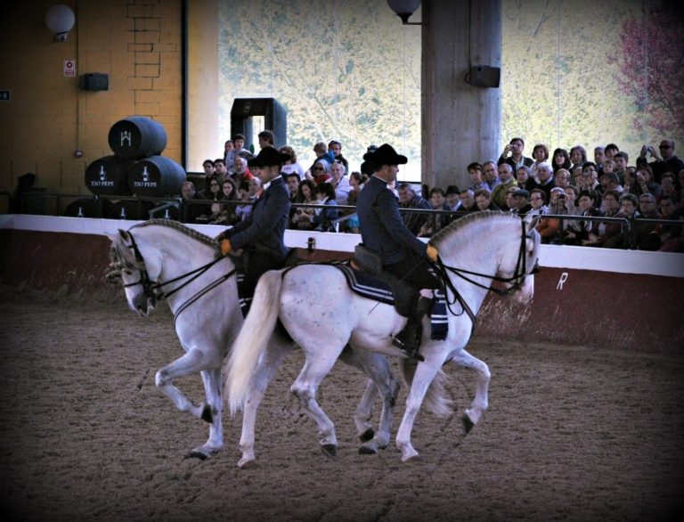 Yeguada de La Cartuja 5 768x586