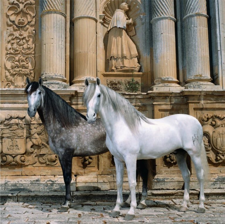 Yeguada de La Cartuja 768x765