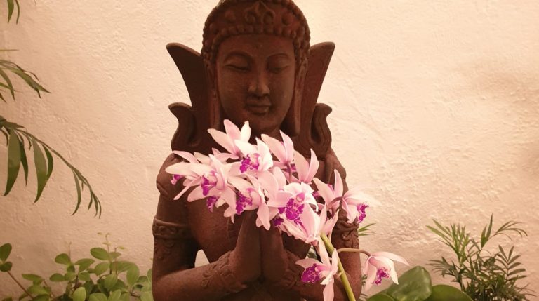 indi yoga san fernando 2 768x429